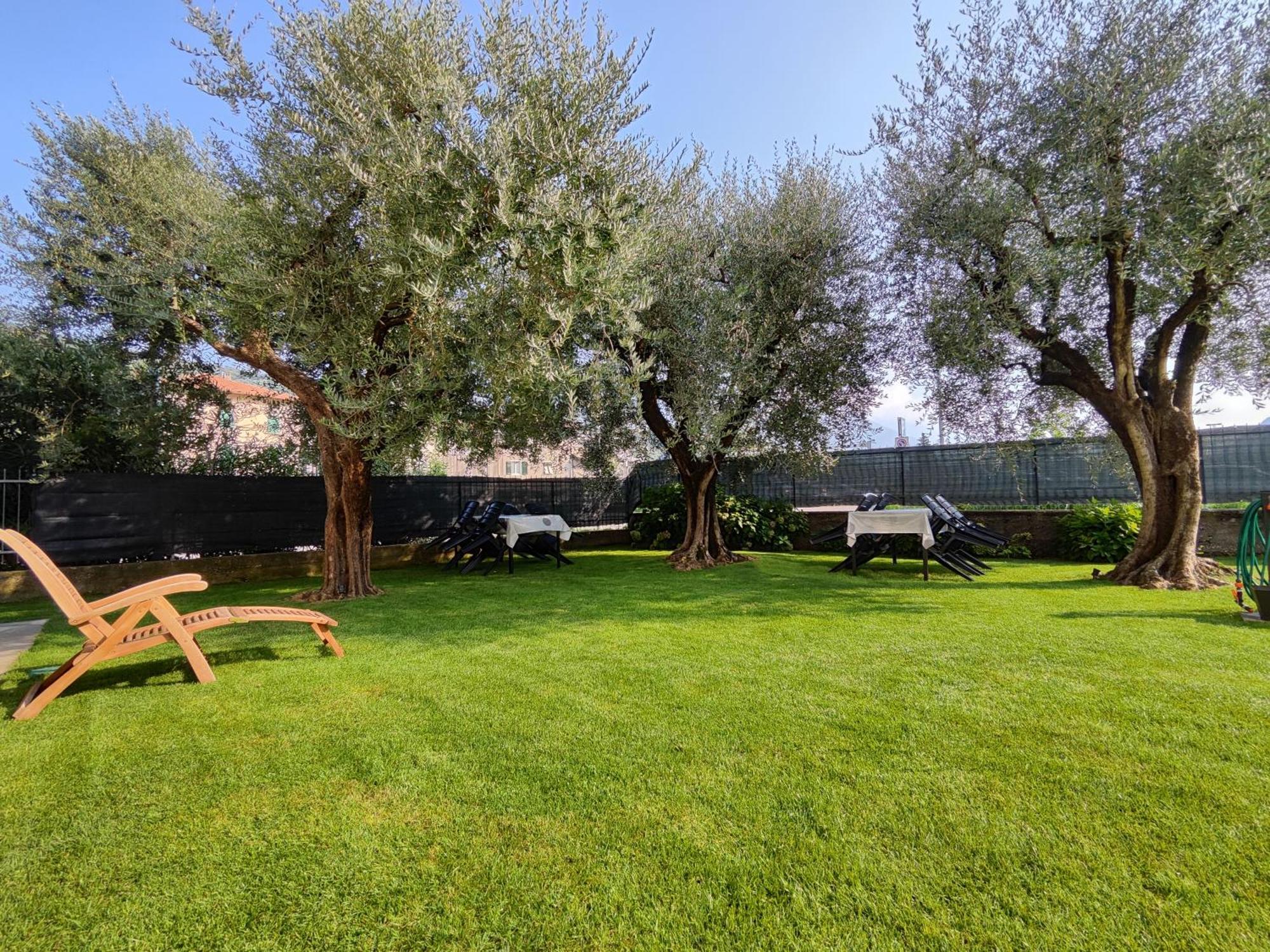 Oasi Degli Ulivi Apartamento Riva del Garda Exterior foto